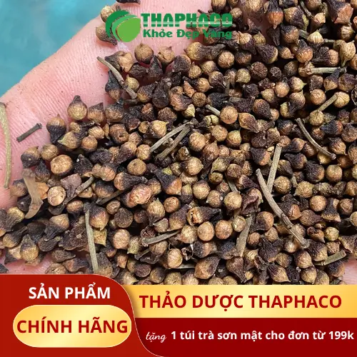 Nụ vối sấy khô nguyên chất từ Thảo Dược Tấn Phát