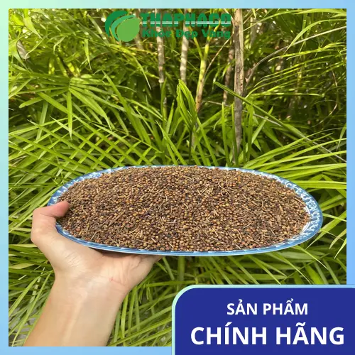 Quy trình sấy khô nụ vối hiện đại, giữ trọn dưỡng chất