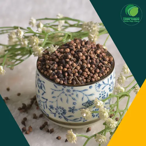 Nụ vối sấy khô đóng gói kỹ lưỡng tại Thảo Dược Tấn Phát