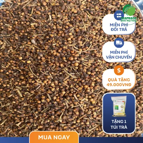 Mua nụ vối chất lượng, giá tốt tại Thảo Dược Tấn Phát