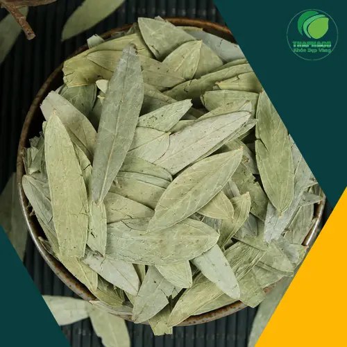Hình ảnh phan tả diệp khô chất lượng
