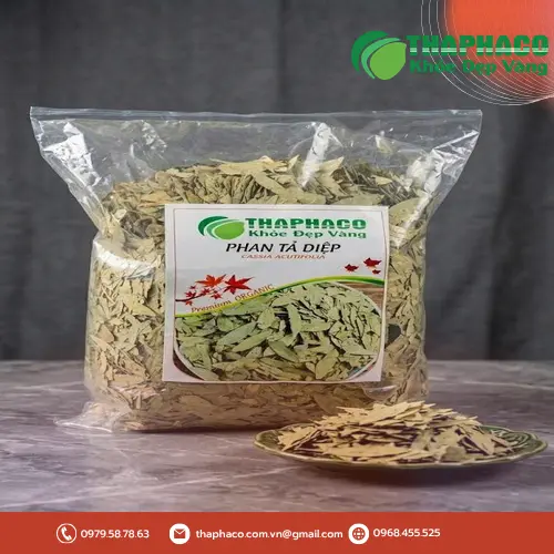 Pha trà phan tả diệp đúng cách