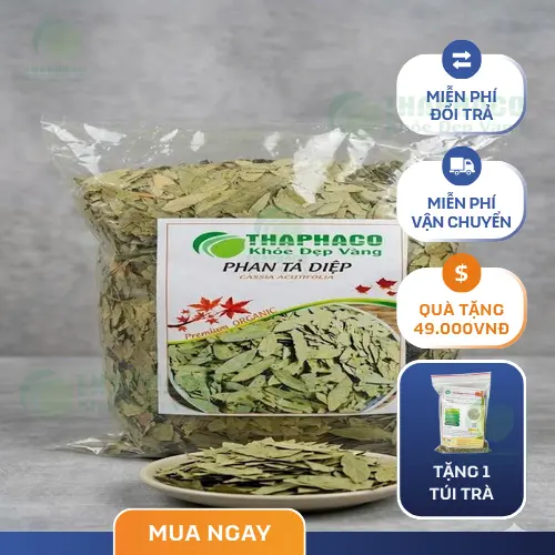 Phan tả diệp chất lượng tại Thảo Dược Tấn Phát