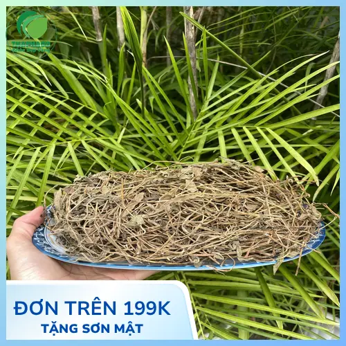 Hình ảnh sài đất khô đã được tuyển chọn và làm sạch