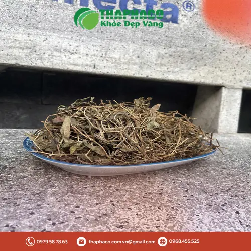 Sài đất và gan