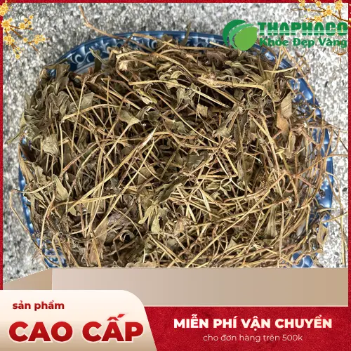 Công dụng của Sài Đất Khô Thảo Dược Tấn Phát