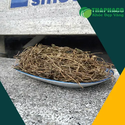 Gói sài đất khô 1kg được đóng gói cẩn thận, đảm bảo vệ sinh và giữ được độ khô