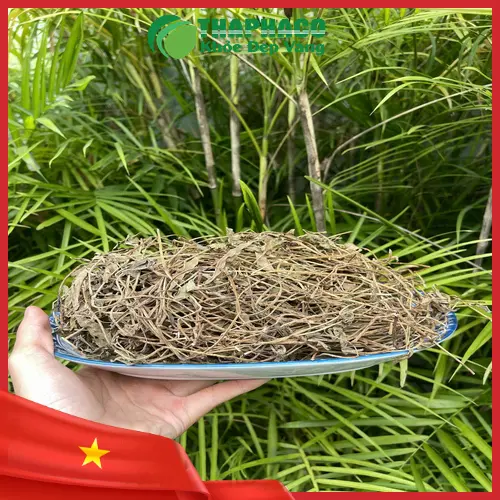 Sài đất sấy khô dùng để đắp ngoài da