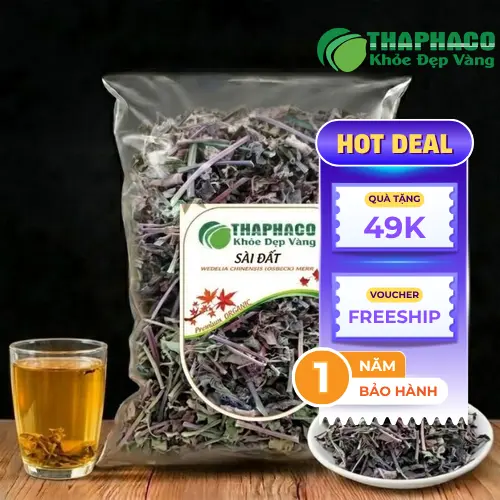 Sài đất khô được bảo quản đúng cách