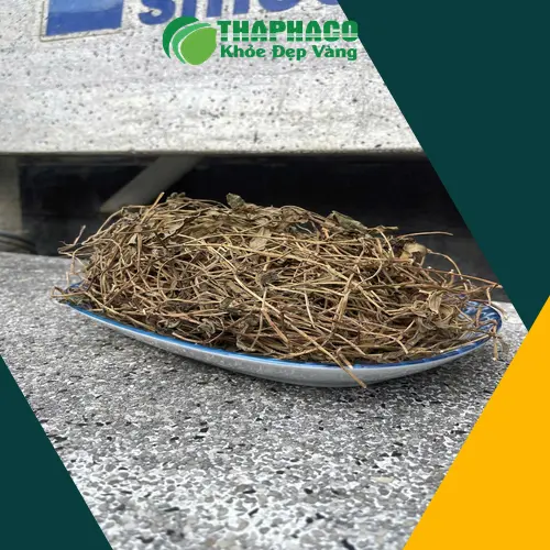 Bảo quản sài đất khô trong bao bì kín, nơi khô ráo