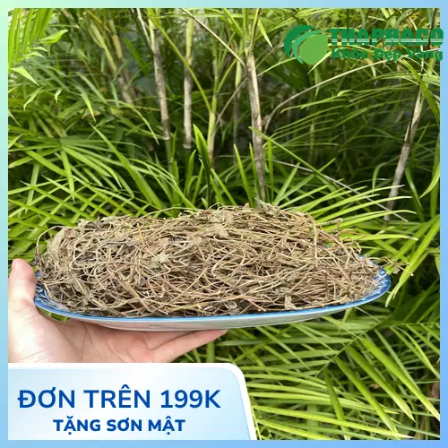 Sản phẩm cây sài đất sấy khô Thảo Dược Tấn Phát hoàn chỉnh