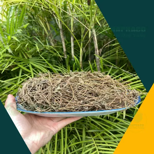 Sài đất khô chất lượng cao