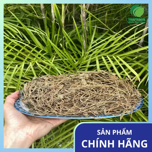 Thảo Dược Tấn Phát cung cấp sỉ sài đất sấy khô uy tín tại TP.HCM
