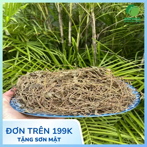 Sài đất khô được bảo quản trong túi zip kín, để nơi khô ráo, thoáng mát