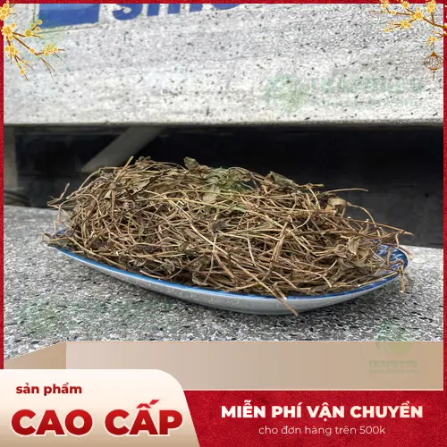 Sài đất sấy khô chất lượng từ Thảo Dược Tấn Phát