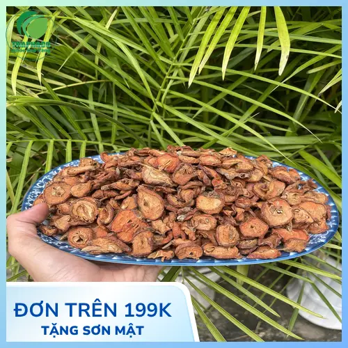 Đóng gói táo mèo sấy khô đảm bảo vệ sinh tại Vườn Dược Liệu Tây Bắc