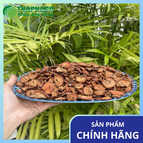 Táo mèo tươi chọn lọc trước khi sấy tại Thiên Lộc Phát