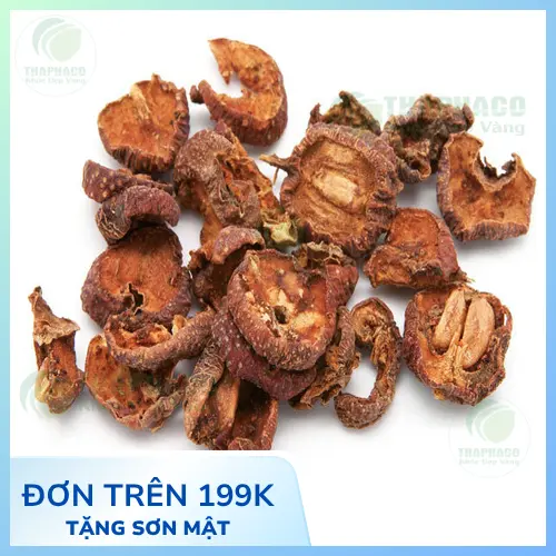Mua táo mèo khô chất lượng tại Thảo Dược Tấn Phát