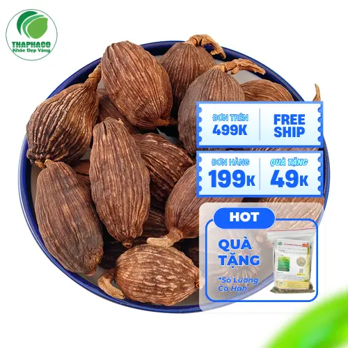 Thảo quả sấy khô chất lượng cao tại Thảo Dược Tấn Phát