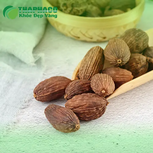 Thảo quả sấy khô là gia vị không thể thiếu trong nhiều món ăn