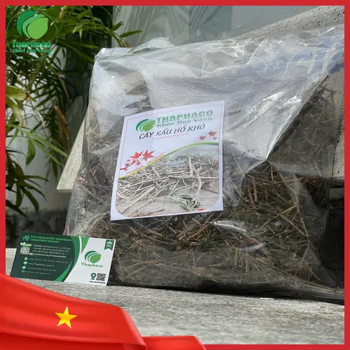 Cây xấu hổ khô chất lượng tại Thảo Dược Tấn Phát