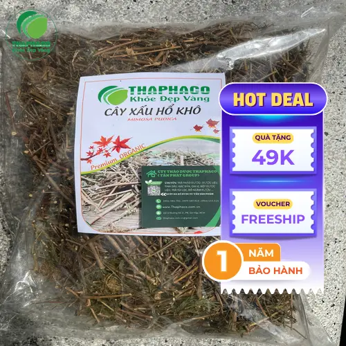 Cây xấu hổ tươi và những đặc điểm dễ nhận biết