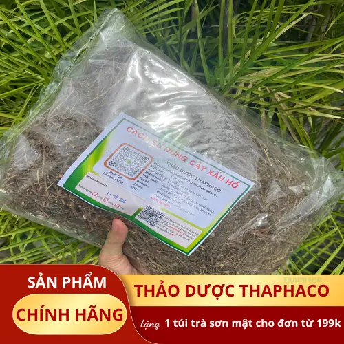 Quy trình phơi sấy cây xấu hổ khô tại Thảo Dược Tấn Phát đảm bảo giữ nguyên dược tính.