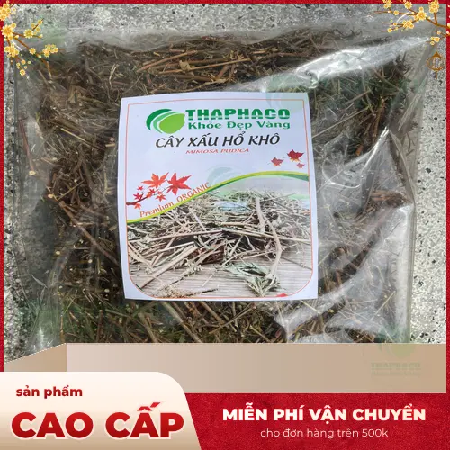 Hướng dẫn cách pha trà cây xấu hổ khô