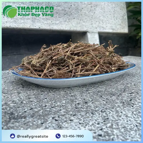 Quy trình sấy khô cây xấu hổ tại Thảo Dược Tấn Phát