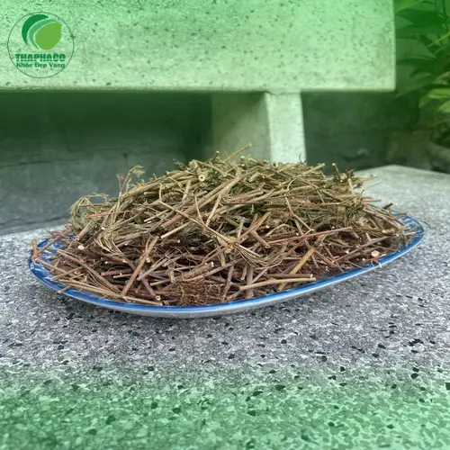 Cây xấu hổ khô chất lượng cao từ Thảo Dược Tấn Phát, đảm bảo độ sạch và an toàn.