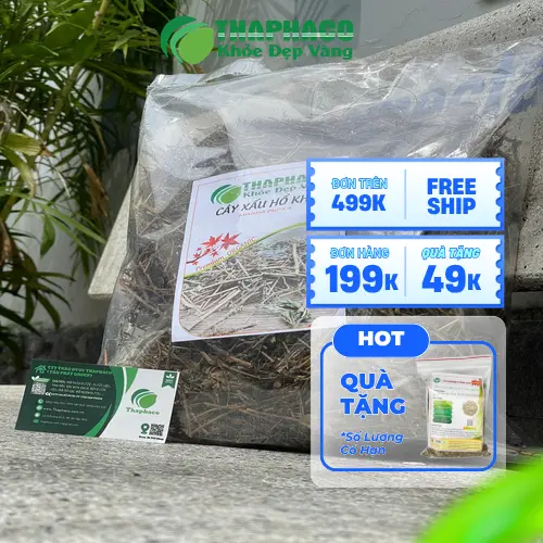 Hình ảnh cây xấu hổ khô đã được cắt khúc và đóng gói cẩn thận tại Thảo Dược Tấn Phát