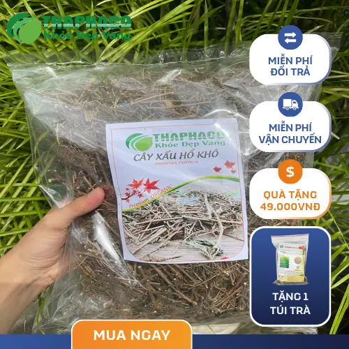 Sản phẩm cây xấu hổ khô chất lượng cao từ Thảo Dược Tấn Phát