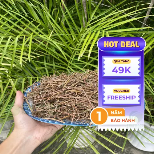Hình ảnh cây xấu hổ khô đã được đóng gói thành phẩm sẵn sàng giao đến tay khách hàng