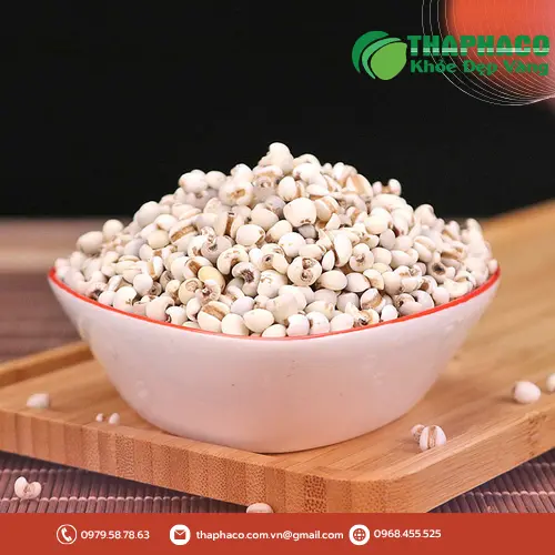 Ý dĩ Thảo Dược Tấn Phát - Hạt ý dĩ khô, sạch