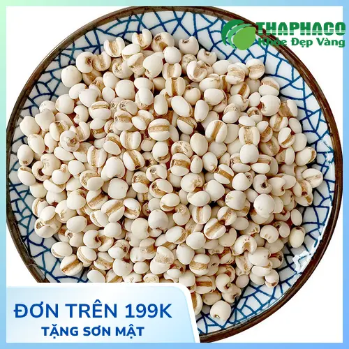 Pha trà ý dĩ thanh nhiệt mỗi ngày
