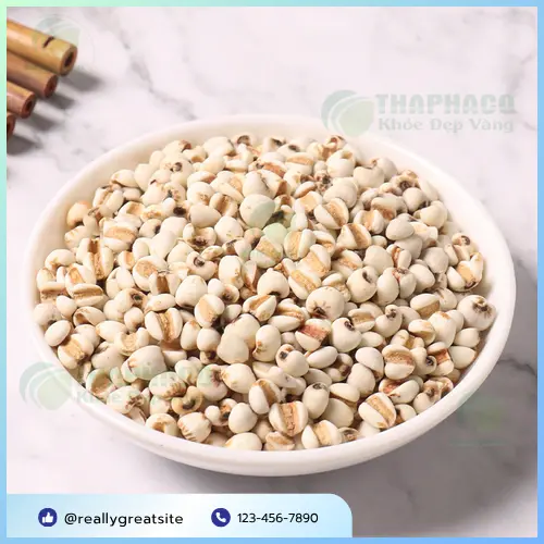 Ý dĩ sấy khô, đảm bảo chất lượng, sẵn sàng sử dụng từ Thảo Dược Tấn Phát