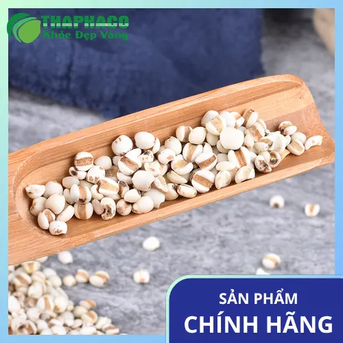 Món cháo ý dĩ hạt sen thơm ngon, bổ dưỡng
