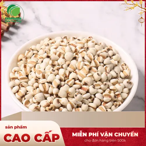 Ưu đãi ý dĩ Thảo Dược Tấn Phát