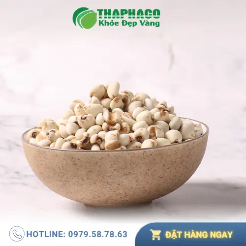 Gói ý dĩ chất lượng cao với giá ưu đãi tại Thảo Dược Tấn Phát và chương trình khuyến mãi