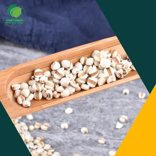 Bộ sản phẩm ý dĩ và trà mát gan của Thảo Dược Tấn Phát