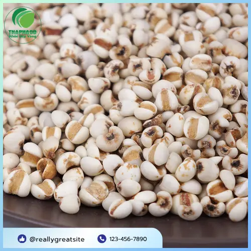 Khách hàng tin dùng ý dĩ từ Thảo Dược Tấn Phát