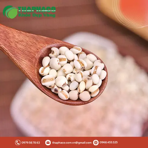 Món ăn hấp dẫn được chế biến từ ý dĩ, minh chứng cho sự đa dạng và hiệu quả