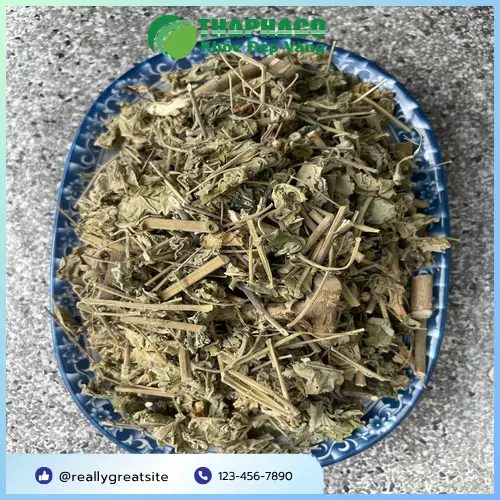 Hình ảnh cây cối xay khô tại Thảo Dược Tấn Phát