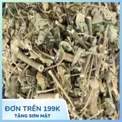Địa chỉ bán Cây Cối Xay sấy khô uy tín, giá tốt tại TP.HCM