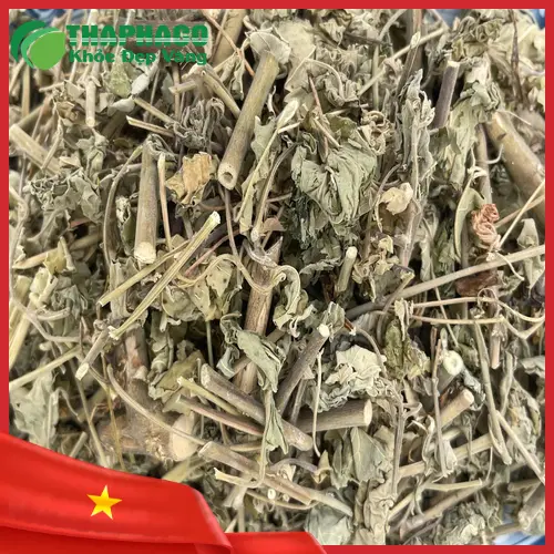 Quy trình sấy khô cây cối xay đạt chuẩn tại Thảo Dược Tấn Phát