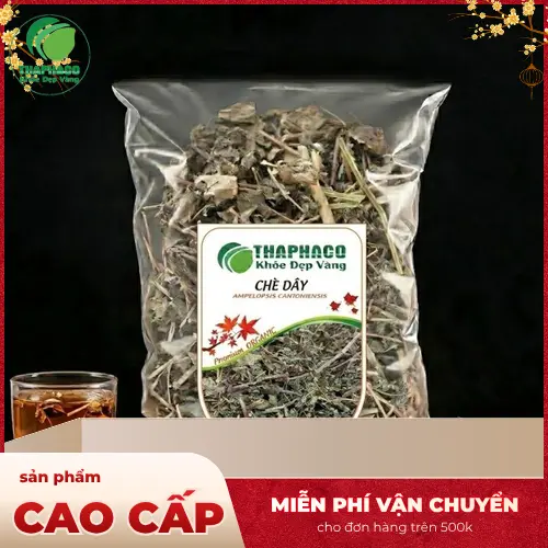Hình ảnh cây chè dây đang phát triển