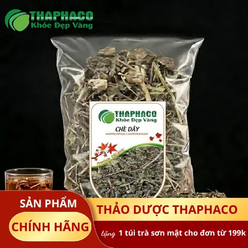 Cây chè dây - Ampelopsis cantoniensis