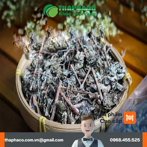 Chè dây khô bị ẩm mốc có mùi lạ và màu sắc thay đổi