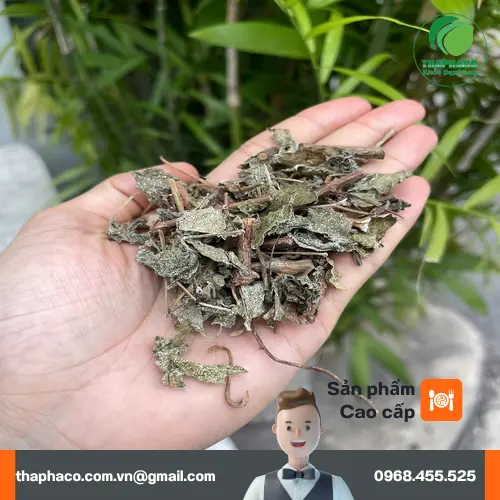 Chè dây khô chất lượng cao với lớp phấn trắng tự nhiên