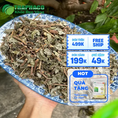 Cách pha chè dây đúng cách để có hiệu quả tốt nhất